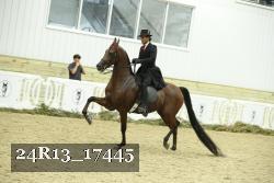 24R13_17445 thumbnail