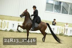 24R13_17446 thumbnail