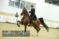 24R13_17447 thumbnail