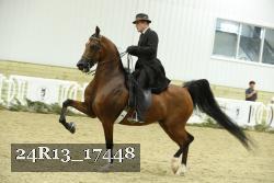 24R13_17448 thumbnail