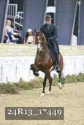 24R13_17449 thumbnail