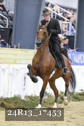 24R13_17453 thumbnail