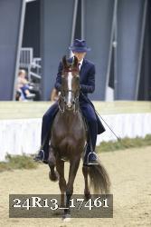 24R13_17461 thumbnail