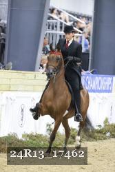 24R13_17462 thumbnail