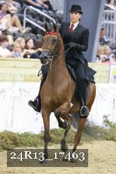 24R13_17463 thumbnail