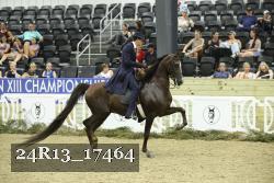 24R13_17464 thumbnail