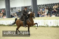 24R13_17466 thumbnail