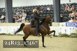 24R13_17467 thumbnail