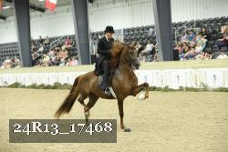 24R13_17468 thumbnail