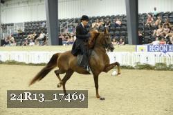 24R13_17469 thumbnail