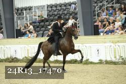 24R13_17470 thumbnail
