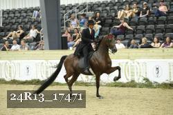 24R13_17471 thumbnail