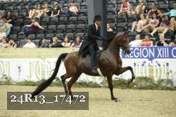 24R13_17472 thumbnail
