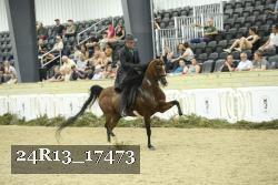 24R13_17473 thumbnail