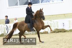 24R13_17474 thumbnail