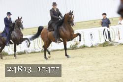24R13_17477 thumbnail