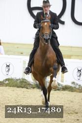 24R13_17480 thumbnail