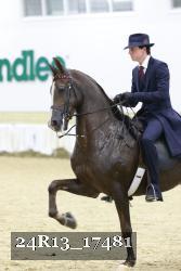 24R13_17481 thumbnail