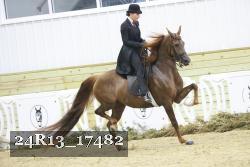 24R13_17482 thumbnail
