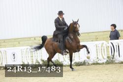 24R13_17483 thumbnail