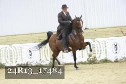 24R13_17484 thumbnail