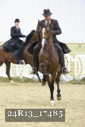 24R13_17485 thumbnail