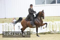 24R13_17487 thumbnail