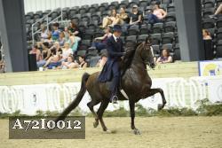 A72I0012 thumbnail