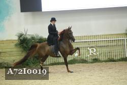 A72I0019 thumbnail