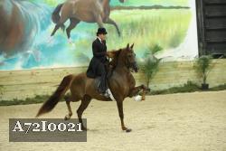 A72I0021 thumbnail