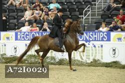 A72I0029 thumbnail
