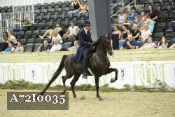 A72I0035 thumbnail