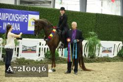 A72I0046 thumbnail