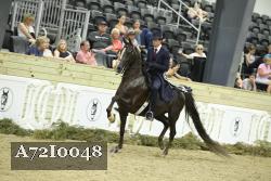 A72I0048 thumbnail