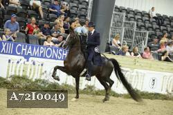 A72I0049 thumbnail
