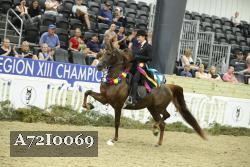 A72I0069 thumbnail