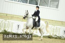 24R13_17631 thumbnail