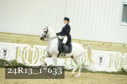 24R13_17633 thumbnail