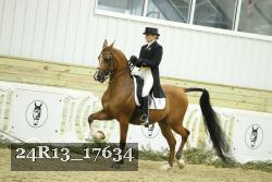 24R13_17634 thumbnail