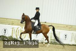 24R13_17636 thumbnail