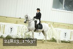 24R13_17637 thumbnail