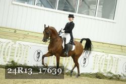 24R13_17639 thumbnail