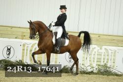 24R13_17641 thumbnail