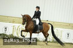 24R13_17642 thumbnail