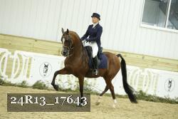 24R13_17643 thumbnail