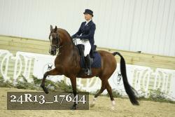 24R13_17644 thumbnail