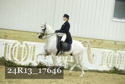 24R13_17646 thumbnail