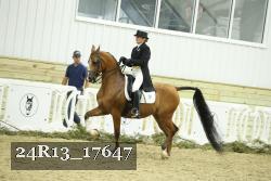 24R13_17647 thumbnail