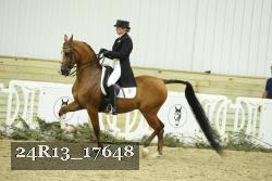 24R13_17648 thumbnail