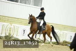 24R13_17652 thumbnail